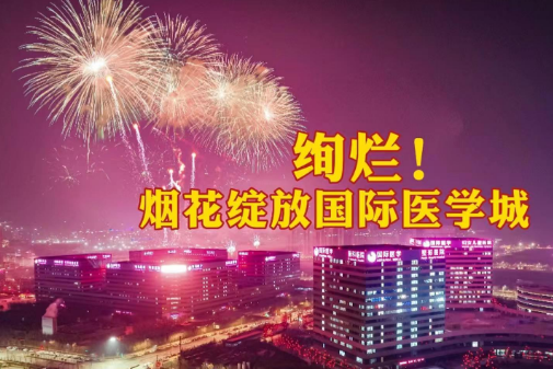絢爛！煙花綻放國(guó)際醫(yī)學(xué)城